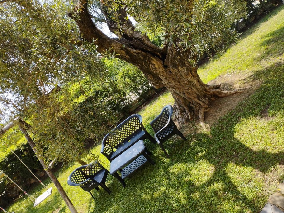 Appartamento Magnolia House Scanzano Jonico Esterno foto